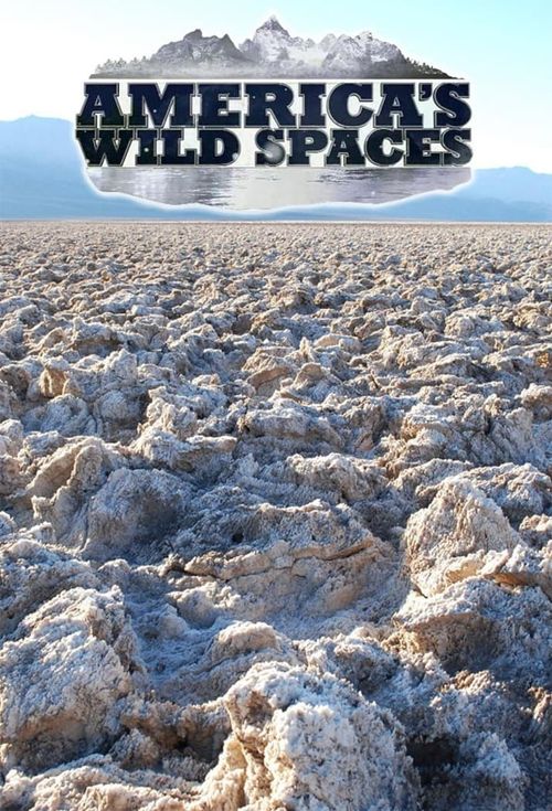 America's Wild Spaces Poster