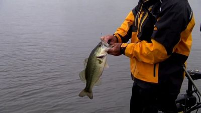 Season 01, Episode 09 Little Motors Can Equal Big Fish and Kayaking in Sweden