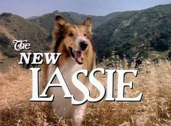  The New Lassie Poster