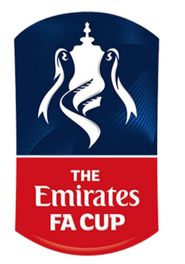  The FA Cup Poster