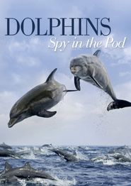  Dolphins: Spy in the Pod Poster