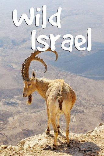  Wild Israel Poster