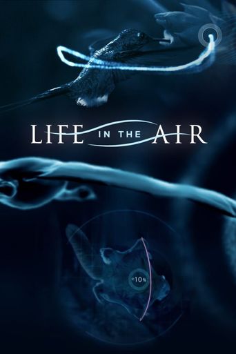  Life in the Air Poster