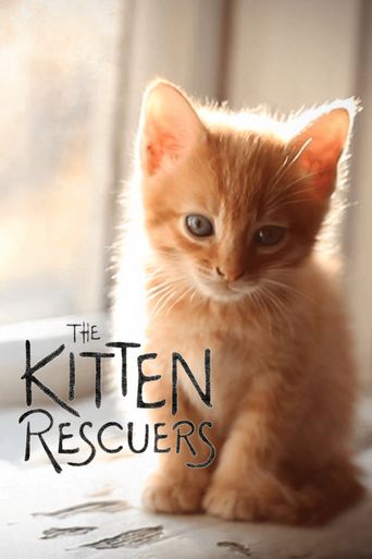 Kitten Rescuers: Where to Watch and Stream Online | Reelgood