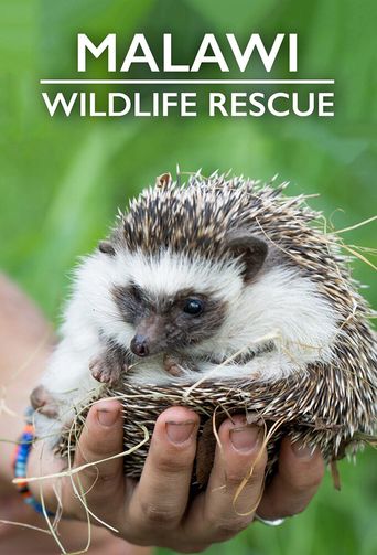  Malawi Wildlife Rescue Poster