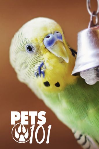  Pets 101 Poster