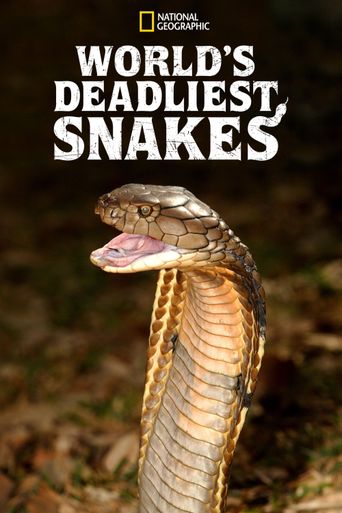 World's Deadliest Snakes Season 1: Where To Watch Every Episode | Reelgood