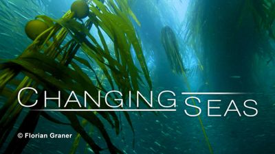Season 14, Episode 03 Kelp: Hidden Treasure of the Salish Sea