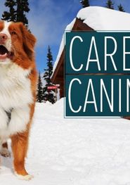  Career Canines Poster