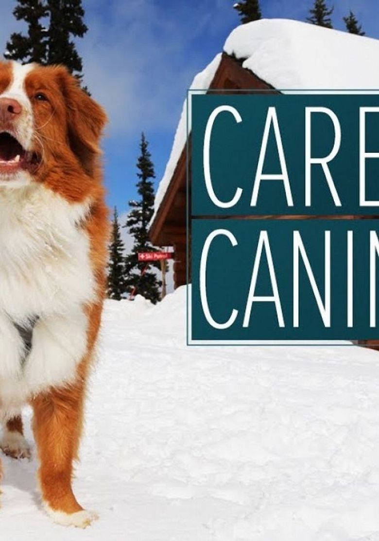 Career Canines