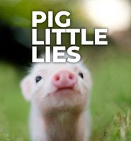  Pig Little Lies Poster
