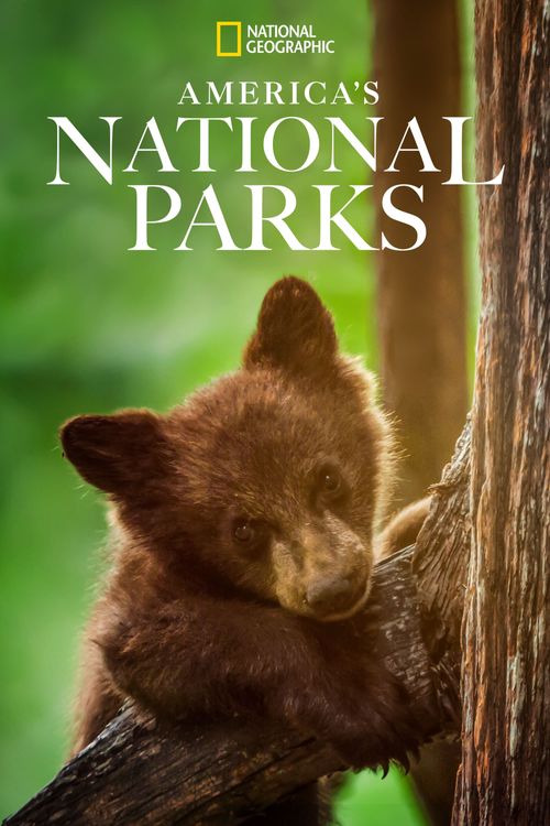 America's National Parks Poster