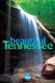  Beautiful Tennessee Poster