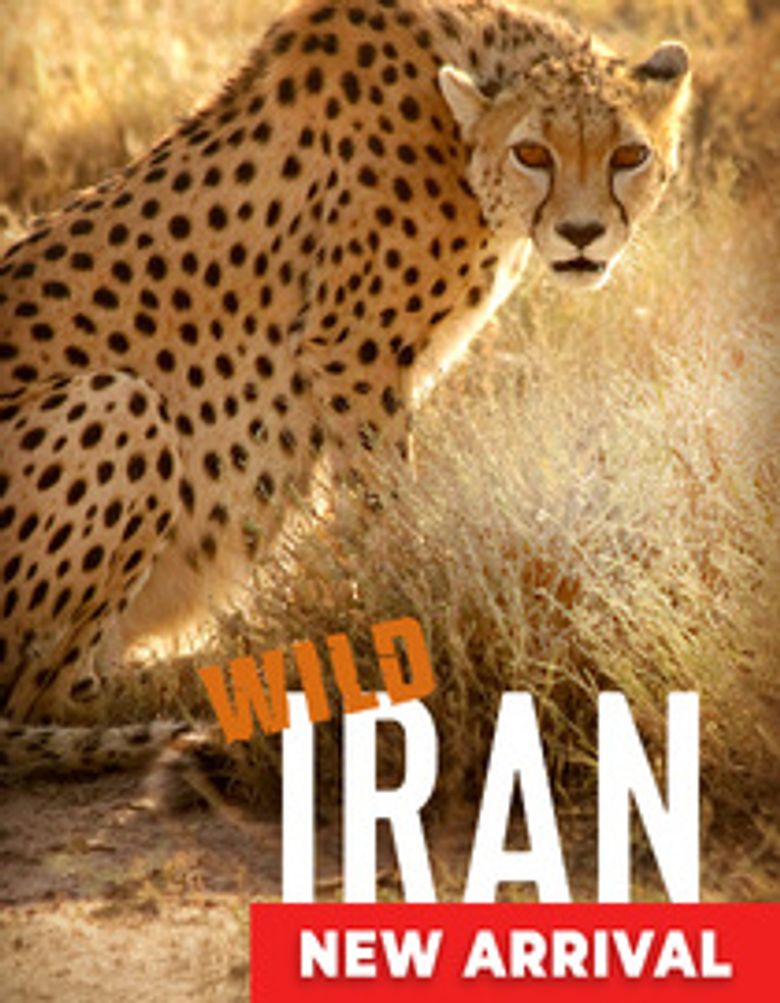 Wild Iran
