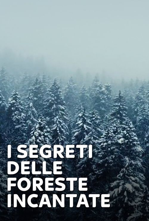 In Textu – Foreste Incantate – Libro Da Colorare Per Adulti Con Esempi Colorati, Carta 200 G/m² E Spirale Fine