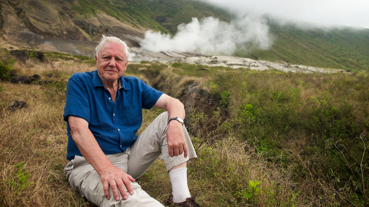 Exquisite Attenborough's Journey On Sky Showcase Hd: Full Details And When It's On Design in 4K Exquisite Attenborough's Journey On Sky Showcase Hd: Full Details And When It's On Design in 4K