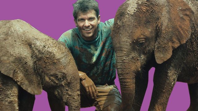 Kratts' Creatures Backdrop