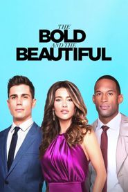  The Bold and the Beautiful Poster