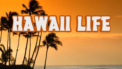 Season 09, Episode 13 Open for Business in Oahu