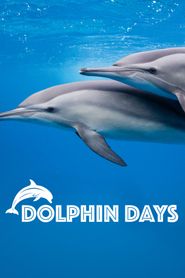  Dolphin Days Poster