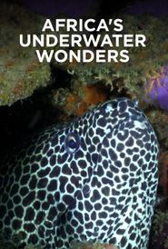  Africa's Underwater Wonders Poster