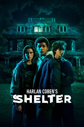  Harlan Coben's Shelter Poster