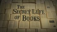  The Secret Life of Books Poster