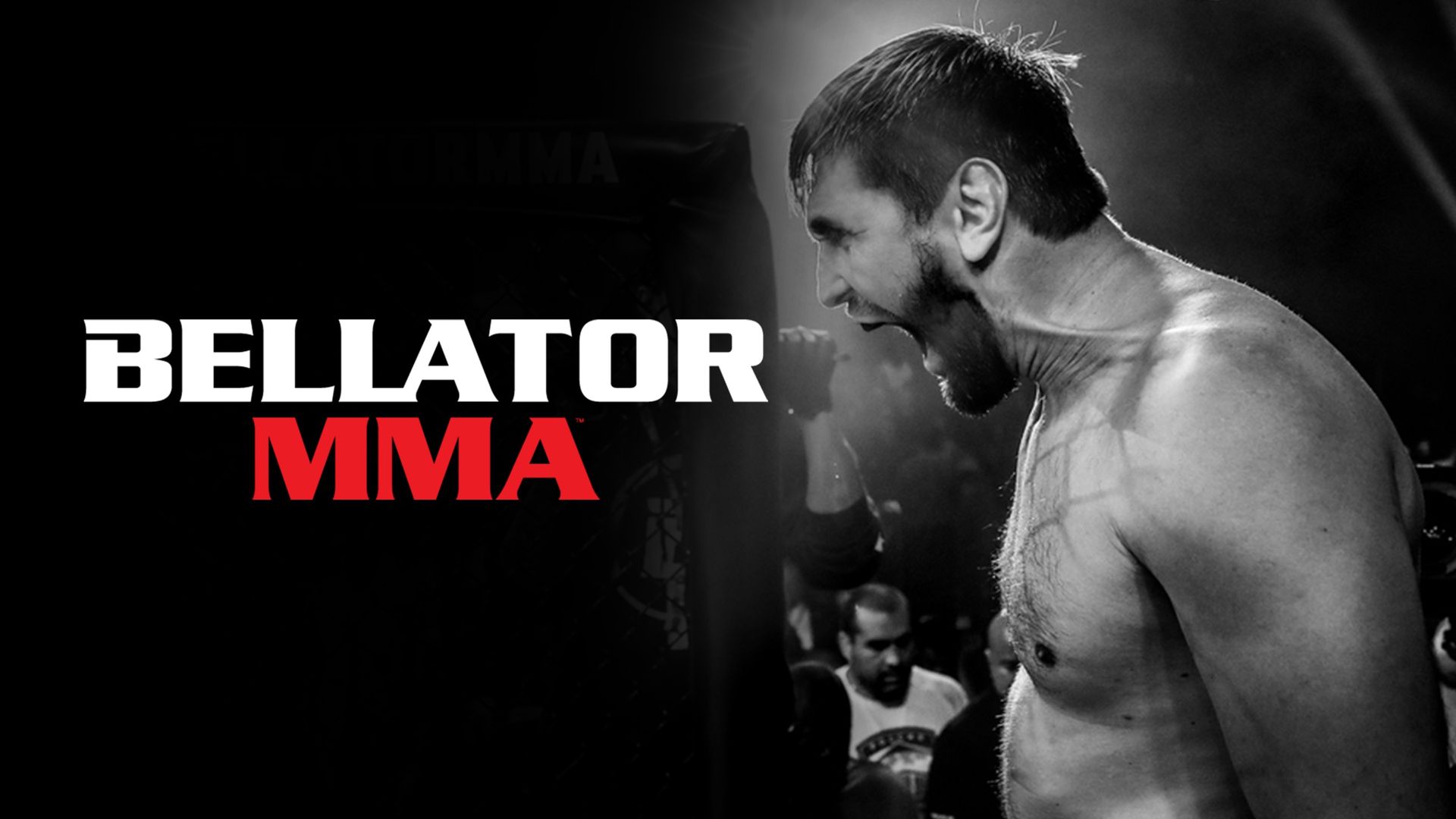 Bellator MMA Where to Watch and Stream Online Reelgood