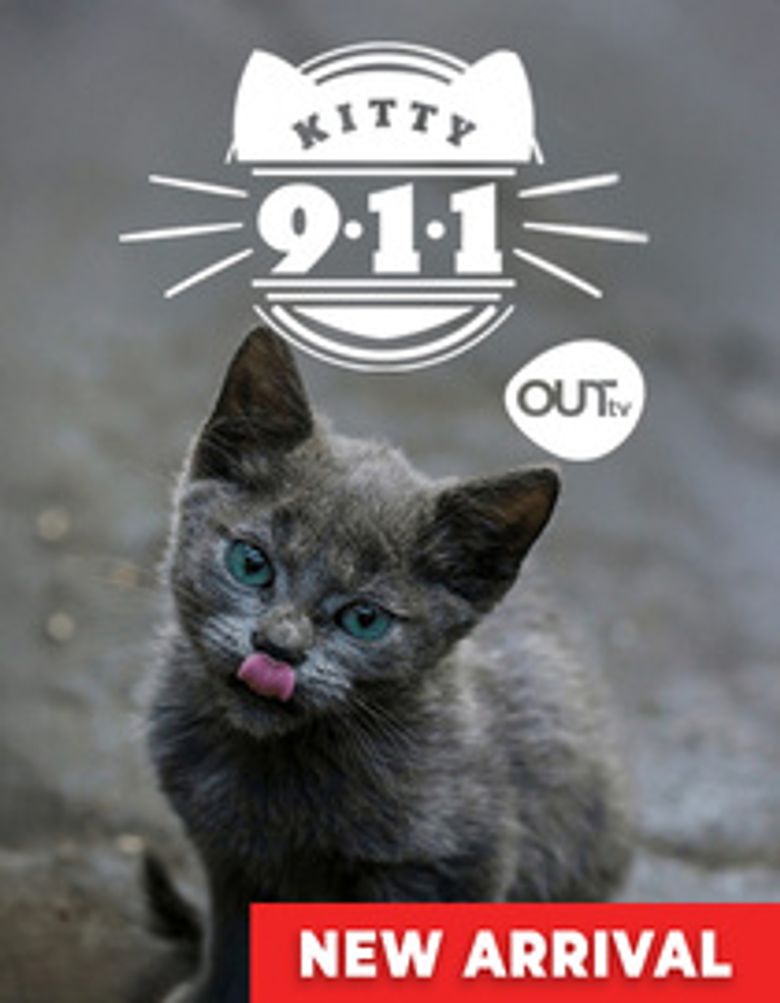 Kitty 911