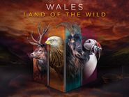  Wales: Land of the Wild Poster