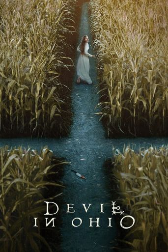  Devil in Ohio Poster