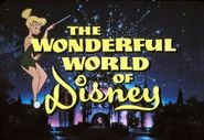  The Wonderful World of Disney Poster