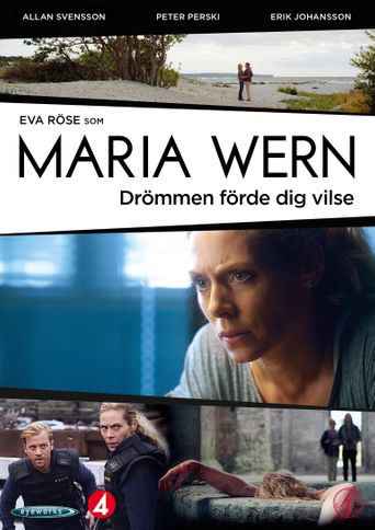 Murder in Sweden Season 4: Where To Watch Every Episode