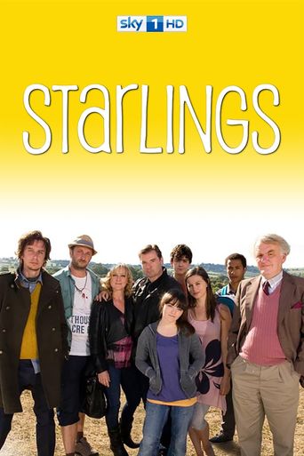  Starlings Poster