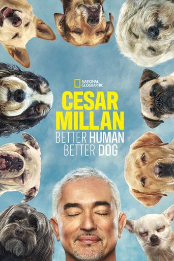 Cesar best sale millan bones