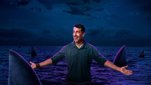 Shark After Dark Backdrop