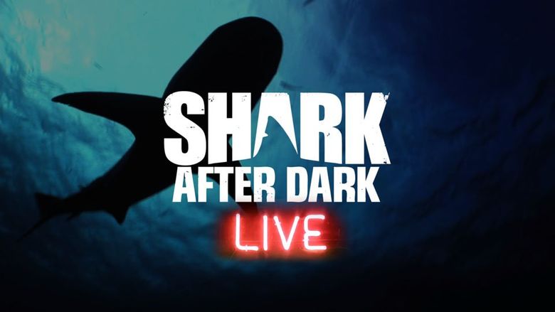 Shark After Dark Shark After Dark