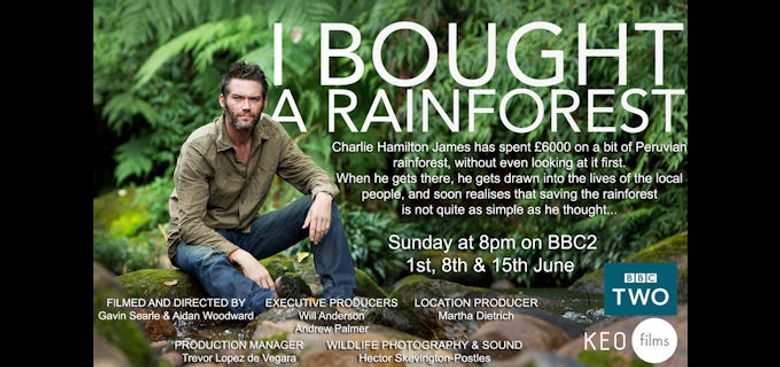 I Bought a Rainforest