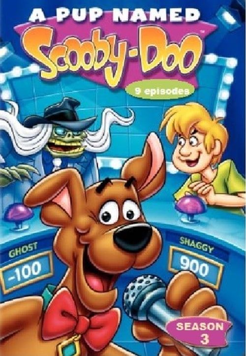 A Pup Named Scooby-Doo Season 3 Poster