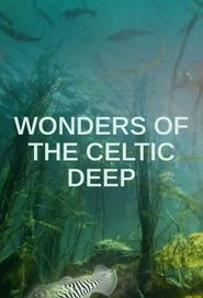  Wonders of the Celtic Deep Poster