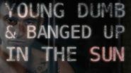 Young, Dumb & Banged Up In The Sun Poster