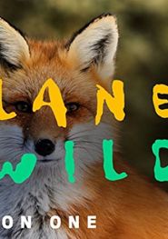  Planet Wild Poster