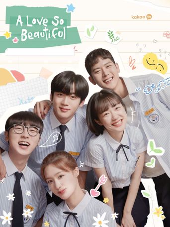 A Love So Beautiful Poster