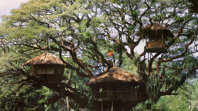 The Swiss Family Robinson Backdrop