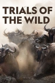  Trials of the Wild Poster