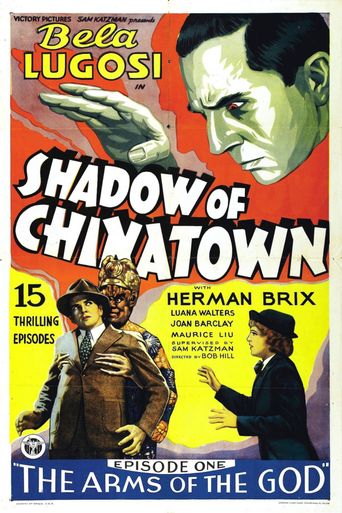  Shadow of Chinatown Poster