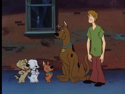 Scooby-doo! Where Did They Go?: Where To Watch And Stream Online 