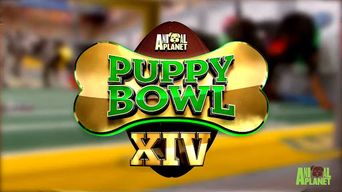  Puppy Bowl XIV Poster