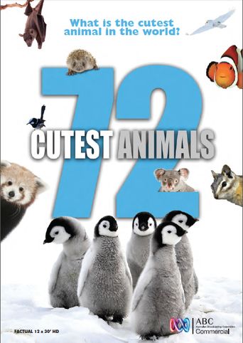  72 Cutest Animals Poster