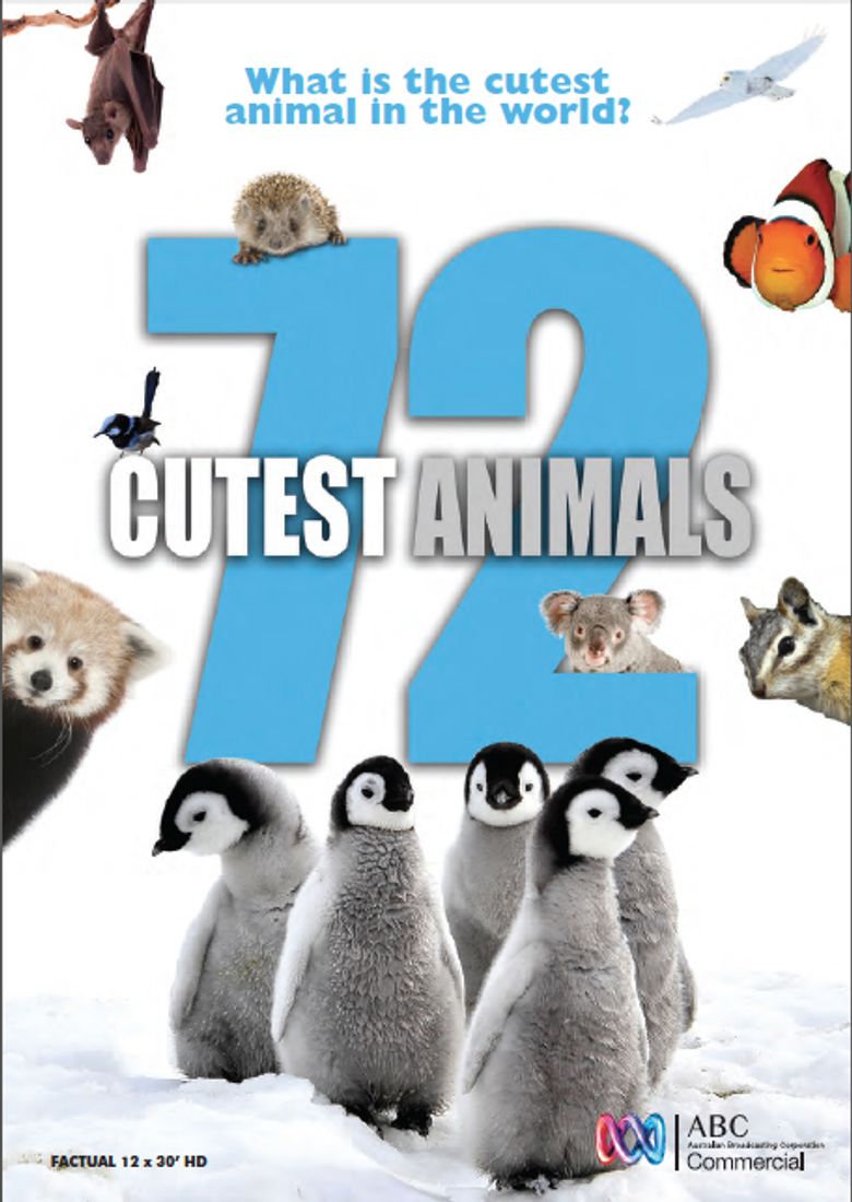 72 Cutest Animals Poster